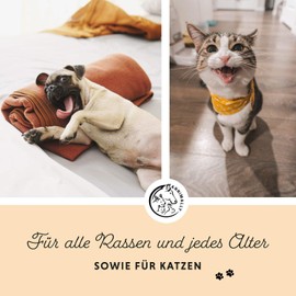 Annimally Lachsöl für Hunde 250 ml reich an Omega 3 & 6 Fettsäuren (mehr als 32%) - Barf Fischöl für Hund und Katze geeignet I Reines Naturprodukt kaltgepresst aus Deutschland