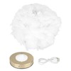 Feather Table Lamp USB Type C 5V Touch Control Stepless