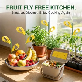 Qualirey 200 Pcs Sticky Houseplant Traps Fungus Gnat Fruit Fly Trap Sticky Houseplant Stakes Insect for Indoor Outdoor Garden Aphids, Whiteflies, Fruit Flies, Fungus Gnat, and Other Insect (Yellow)