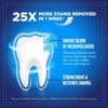 Rembrandt Intense Stain Whitening Toothpaste, Mint Flavor, 3.5 Ounce 12Pack