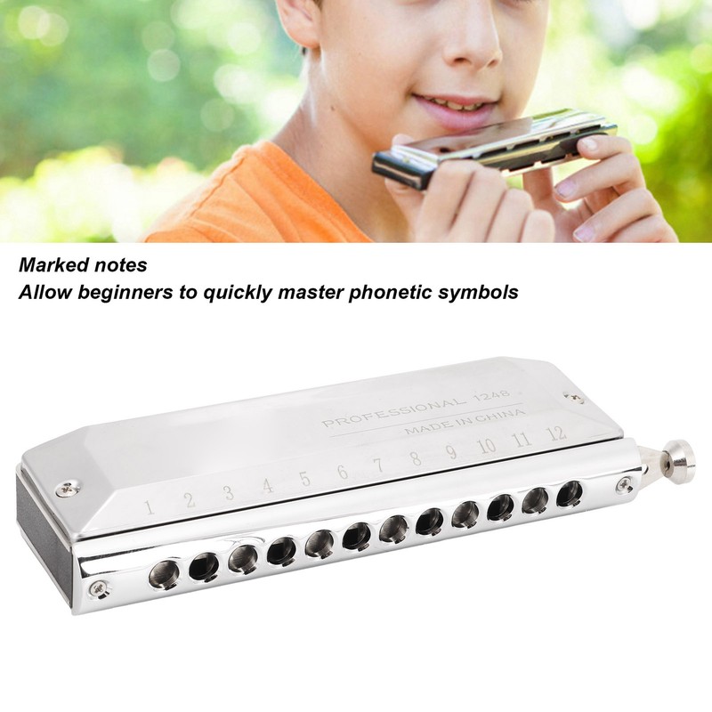 Chromatic Harmonica Metal 12 Holes 48 Tones Mouth Organ Harmonicas