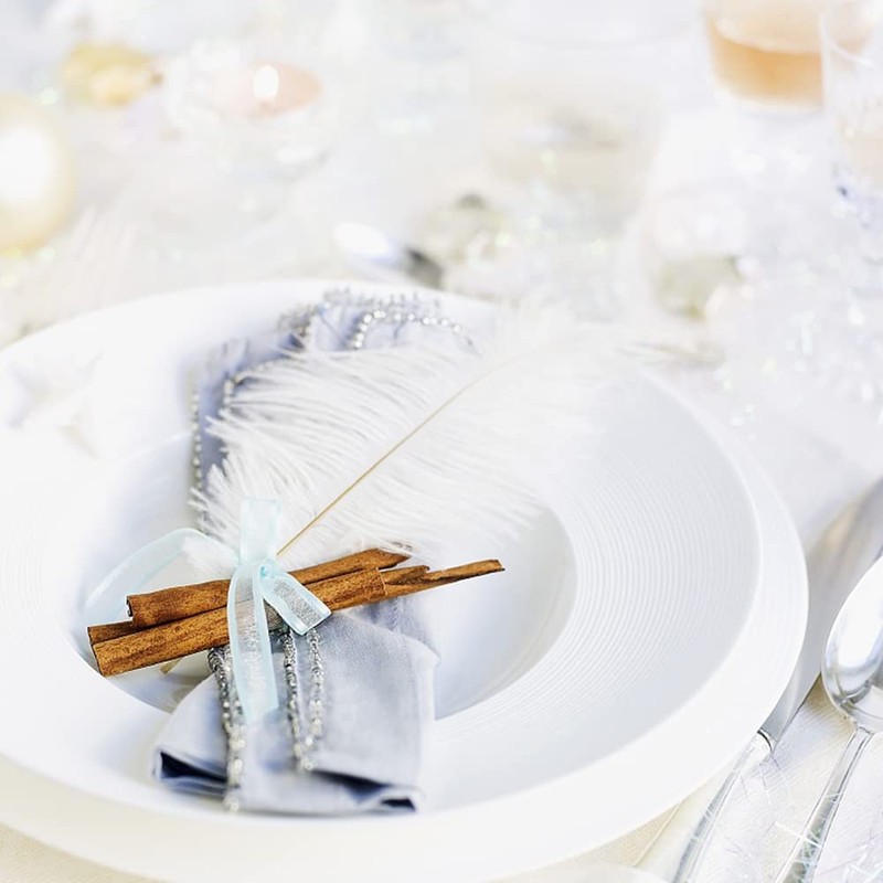 KiKiHong Pack of 10 Ostrich Feathers White Natural Ostrich Feathers