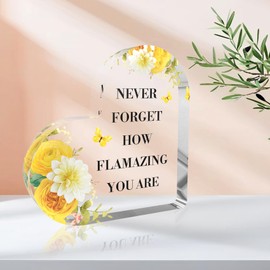 Inspirational Gifts for Women,Spiritual Gifts for Women,Motivational Gift,Positive Presents,Motivational Desk Deco,Inspirational Acrylic Ornament