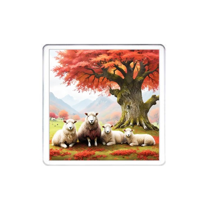 Sheep Coaster Set. 4 different Sheep Pictures on 10cm x