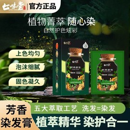 Chilmidang Perfect Cream Cover White Hair Plant-Based Stylish Bubble Hair Dye Chilmidang Modern Painting (Black) 5ea