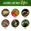 FIVEAGE 100W UVA Reptile Basking Spot Heat Lamp, White Cover