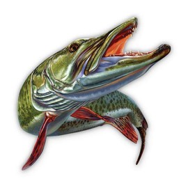GT Graphics Express Muskie Fishing - 12" Vinyl Sticker Waterproof Decal