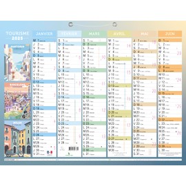 Exacompta - 34314E - Semi-annual calendar illustrated Tourism - 29.5 x 22 cm - January to December 2025 - Random visual