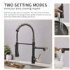 AIMADI Kitchen Faucet,Black Kitchen Faucet with Sprayer,Commercial Style Matte Black