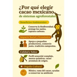 Semilla Grano De Cacao Criollo Premium Crudo 1kg Chiapas