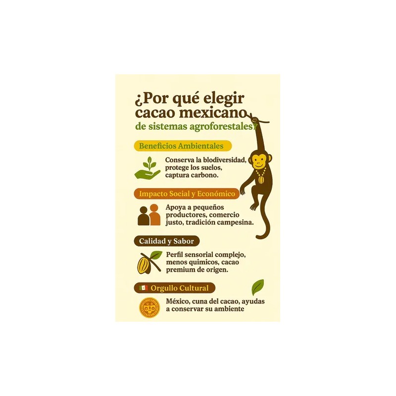 Semilla Grano De Cacao Criollo Premium Crudo 1kg Chiapas