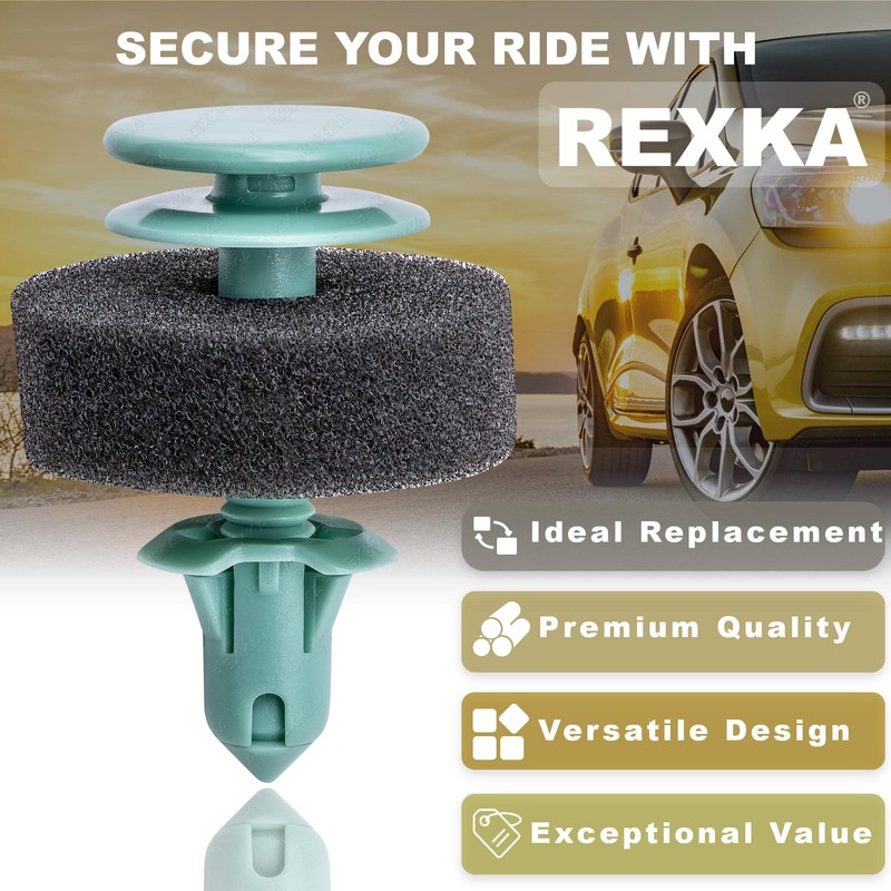Rexka 20pcs Door Trim Panel Retainer Clips 25707329 for GM