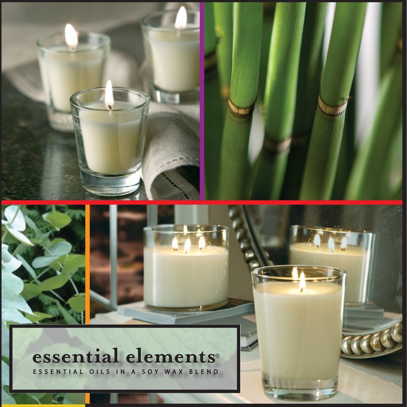 CANDLE-LITE Essential Elements 9-Ounce Boxed Jar Candle with Soy Wax,