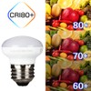 Haian Support China Cabinet Light Bulbs, 4W(25W) Short Light Bulbs,