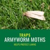 NATRIA Armyworm Pheromone Trap, Ready-to-Use, 3,380 Sq. Ft. (1-Pack)