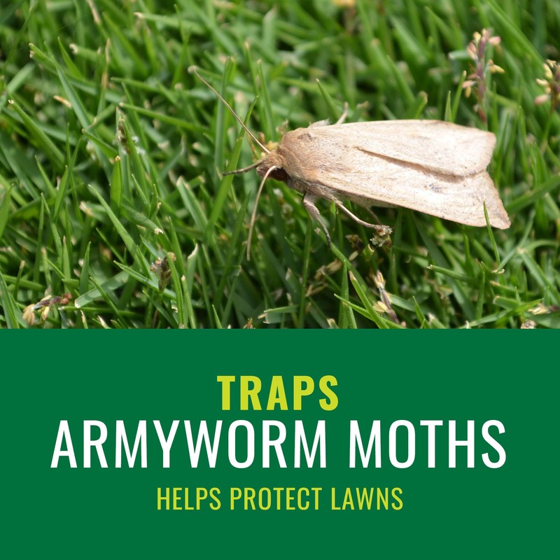 NATRIA Armyworm Pheromone Trap, Ready-to-Use, 3,380 Sq. Ft. (1-Pack)