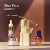 L'OCCITANE - Shea (Karité) Ultra Rich Face Cream - 50