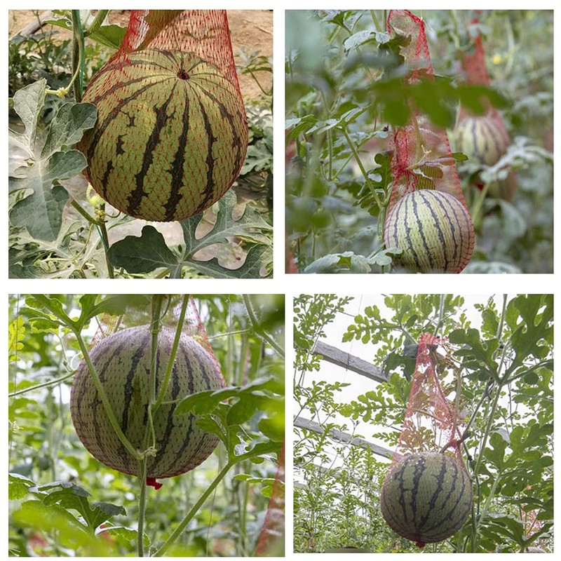 100 Pieces Melon Hammocks Melon Nets Bags, Reusable Cantaloupes Mesh