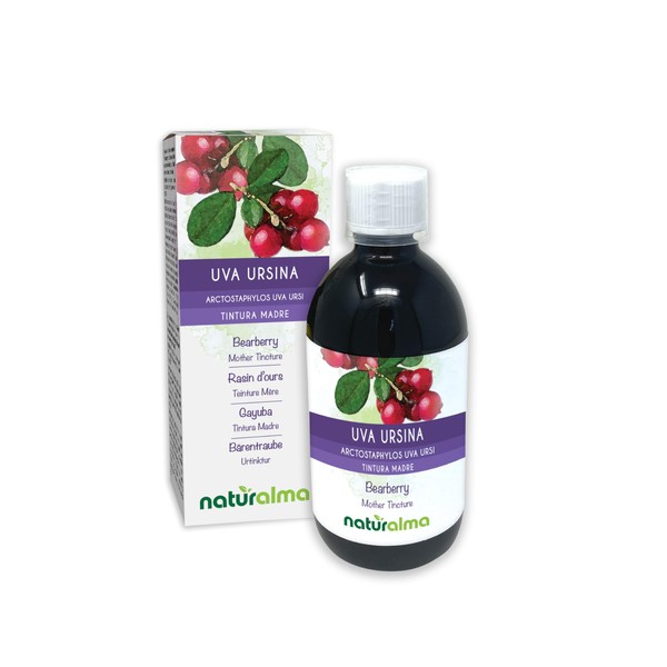 Bearberry (Arctostaphylos Uva Ursi) Leaves Alcohol-Free Mother Tincture Naturalma Liquid Extract Drops 500 ml Dietary Supplement Vegan