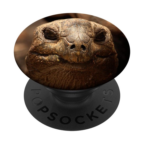 Pop out Cell Phones Collapsible holder Turtles face PopSockets Grip
