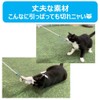 Cat Mote Tail Plum Jelly Blue Set of 3