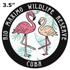Blue Heron Flamingos Rio Maximo Wildlife Reserve Car Truck Window Bumper Sticker Decal - Black