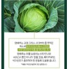 Cabbage Benefits Plum Tablet Premium 2 Months / 양배추 효능