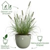 elho Sereh Round 30 - Flower Pot for Indoor and