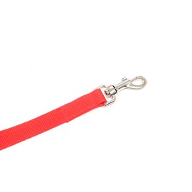 100ft 30m Long Dog Training Lead Obedience Recall Horse Tracking Leash Large 25mm Webbing In RED