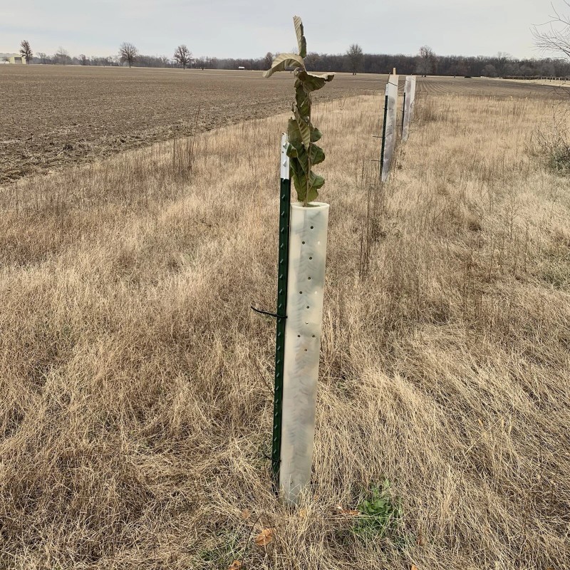 Tree Pro 5 USA Made 60" MIRACLE TUBE TREE PRO