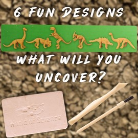 2 Pack Dinosaur Dig Out Kit, Archaeology Fossil Skeleton Excavation Set a Realistic Dinosaur Digging Adventure, Educational Science Mining Toy for Children