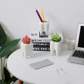 T4U Succulent Pot Ceramic Tooth Shape White Set of 3 Mini Planters for Cacti Flower Pot for Garden Office Desk Decoration Pen Holder Creative Gift for Birthday Wedding Christmas