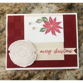 Stampin' Up! Merry Christmas Card Set Of 4 Stampin Up Ringed With Nature House Poinsettia