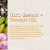 Maui Moisture - Acondicionador de aceite de coco Curl Quench