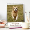 Glücklicher Golden Retriever (Tischkalender 2026 DIN A5 hoch), CALVENDO Monatskalender: