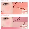 GIVERNY Fluffy Dual Blusher 7.4g, Color:01 Peach Macaron