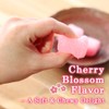 TOMOSAN Japanese Sakura Mochi Candy, Traditional Cherry Blossom Rice Cakes,