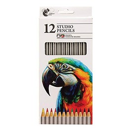 Chiltern Arts Pack Of 12 Studio Artist Sketching Pencils Draws Tones & Shades Assorted Colours