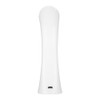 USB Micro current Ultrasonic Ion Importing Facial Pores Cleansing Instrument