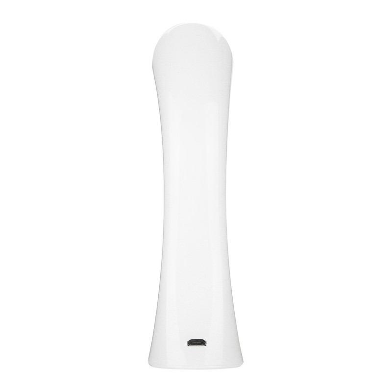 USB Micro current Ultrasonic Ion Importing Facial Pores Cleansing Instrument