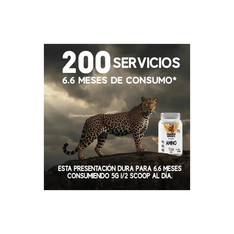 Aminoácidos Stormcheetah 1kg Suplemento Enpolvo 200servicios