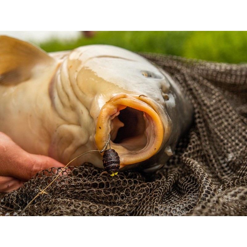 Rod Hutchinson Naturalz 16mm Wafters Mulberry 60g