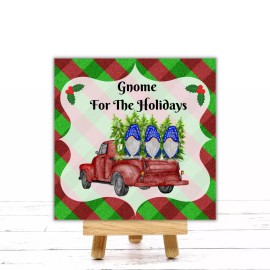 What A Mesh By Diana Gnome For The Holidays Christmas sign or door hanger