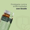Laila + Scudo Tiba- Suplemento Cápsulas- Descanso Y Defensas