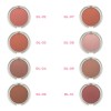 Rubor Compacto / Compact Powder Blush Dermatisse No.8 Coral Reef