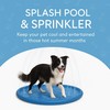 Lizzy Pet Splash Pool & Sprinkler – 100cm/39in | Summer