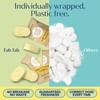 Fab Tab Sustainable Cleaning - All Purpose Refill Spray Tablets