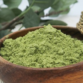 새싹보리 분말 가루 300g 보리새싹 파우더 프리미엄 Premium Barley Sprout Powder 300g