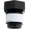 Pentair Pipe Plug, Sta-Rite, 1/4"