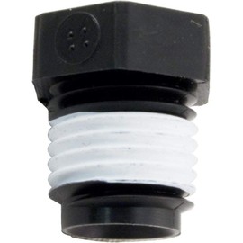 Pentair Pipe Plug, Sta-Rite, 1/4"